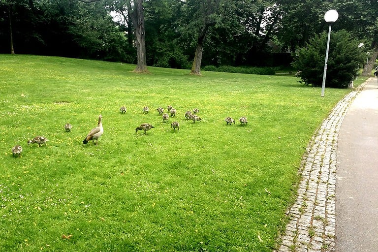 Stuttgart Parks & Recreation - Moving to Stuttgart, Germany