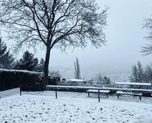 Snow in Stuttgart